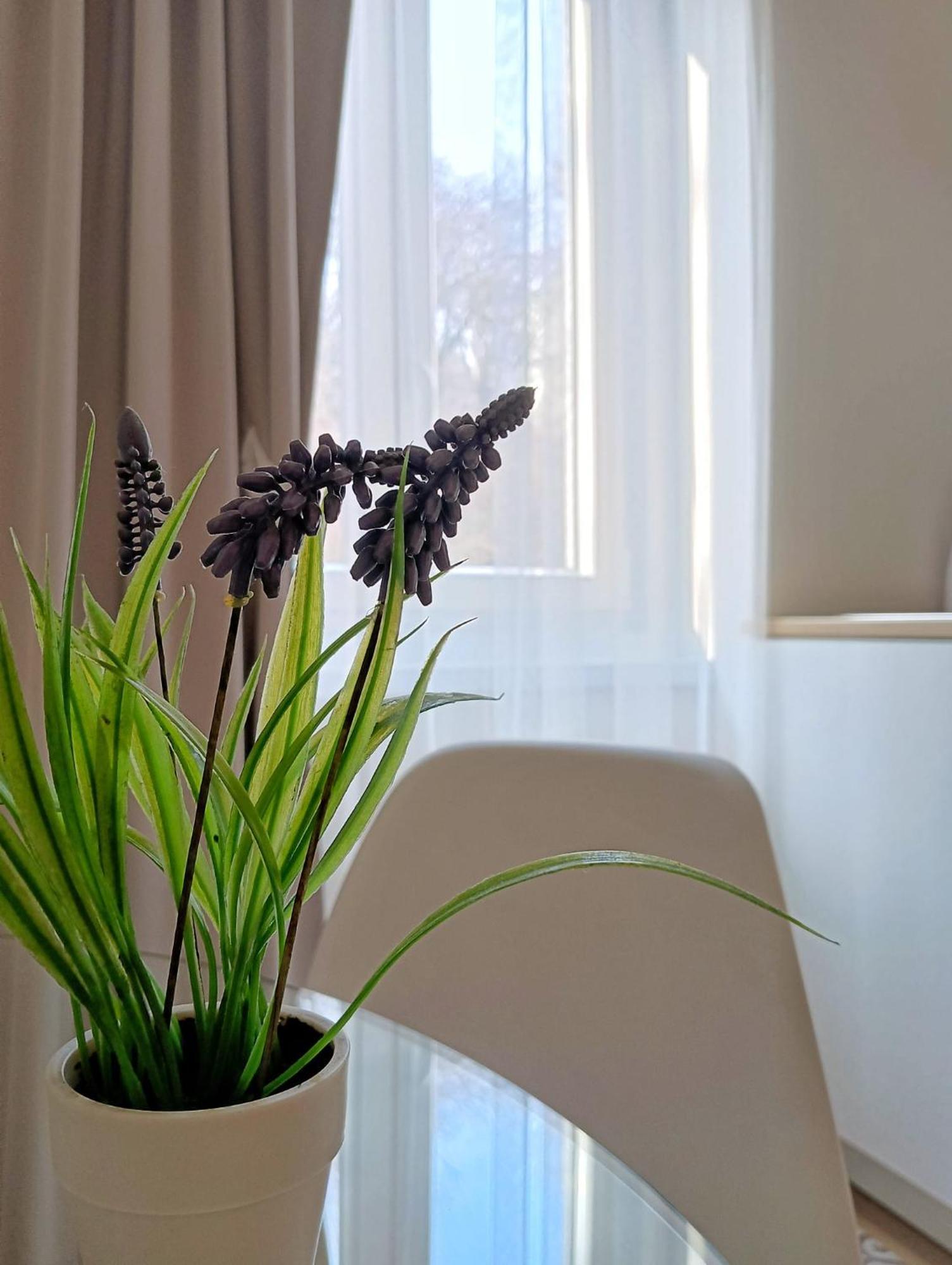Tesa2 Casa Vacanze Triest Zewnętrze zdjęcie
